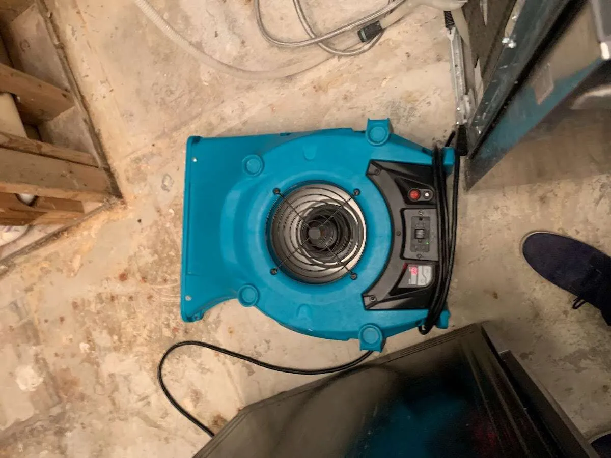 Air mover drying equipment for Mold Remediation & Removal in Ormond Beach
