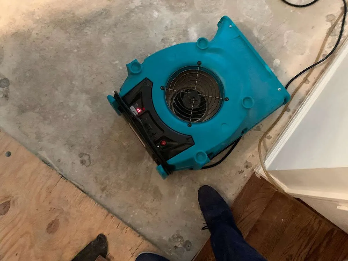 Air mover drying subfloor during Commercial Water Damage Restoration in Ormond Beach