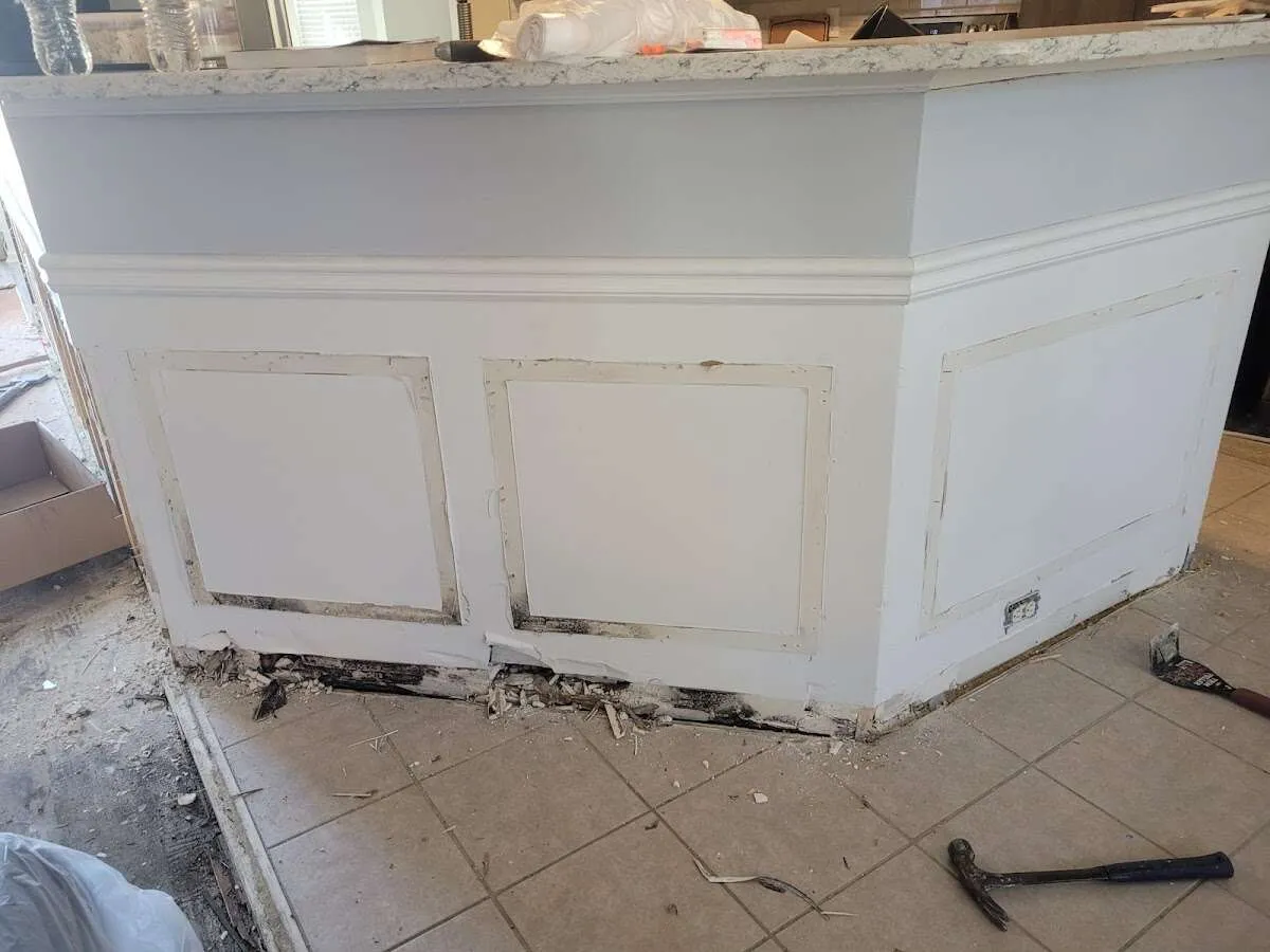 Water damage and mold on kitchen during Mold Inspection & Testing in Ormond Beach